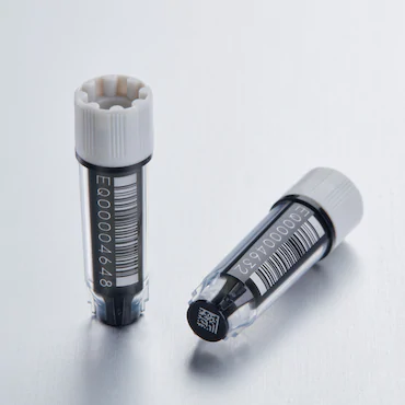 艾本德Eppendorf CryoStorage Vial，無菌, 無菌, 0.5 mL, 不含 DNase、RNase、人類 DNA 和內(nèi)毒素；外螺紋，預(yù)先加蓋灰色管蓋，帶 2D SafeCode 